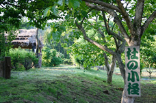 �v���C�p�[�N